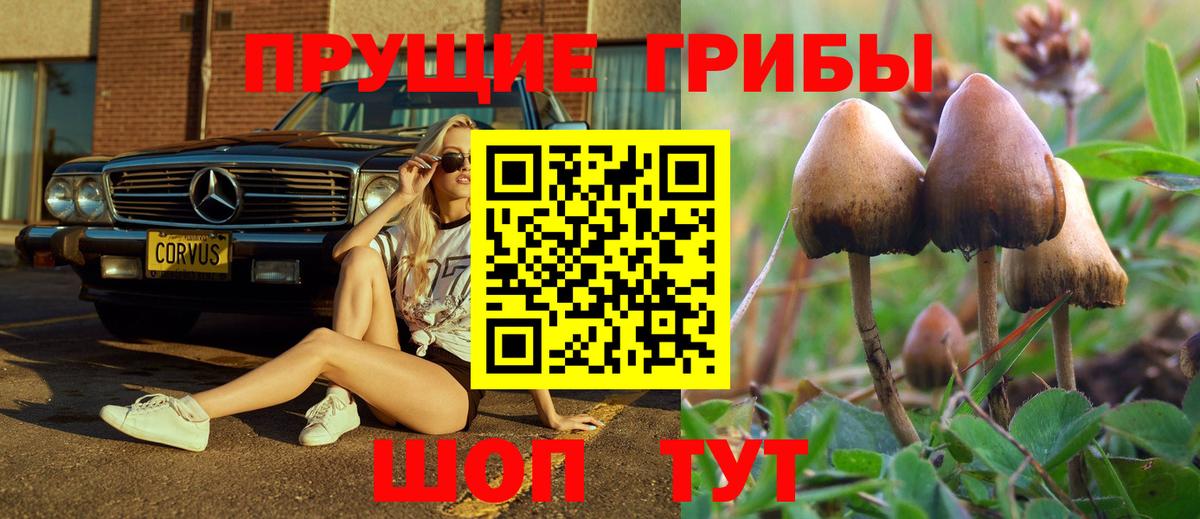 Галлюциногенные грибы GOLDEN TEACHER Кимовск