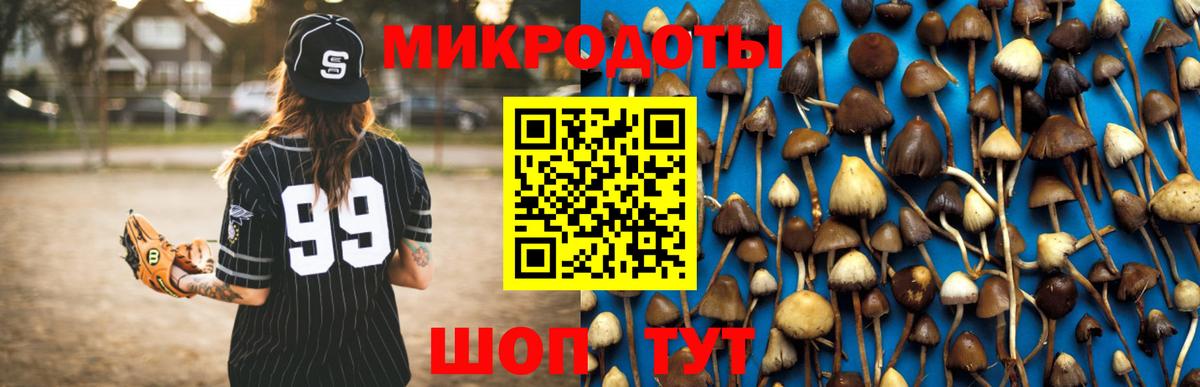 Галлюциногенные грибы GOLDEN TEACHER  Вход с VPN  Кимовск  Галлюциногенные грибы Psilocybe 