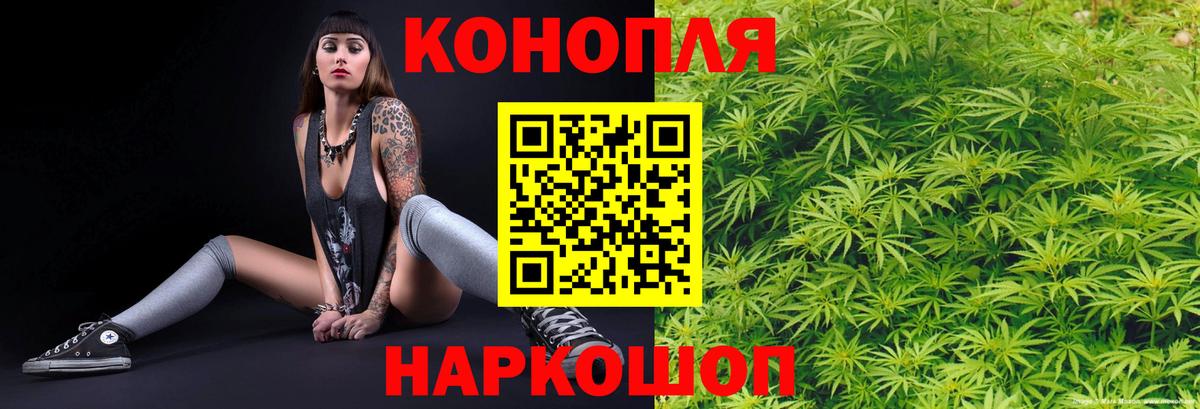 МАРИХУАНА гибрид Кимовск